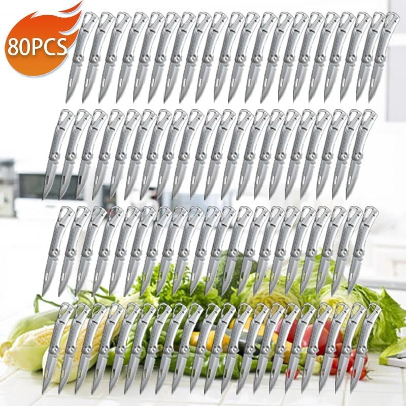 80PCS Stainless Steel Folding Knife Handcrafted Engraving Tools Multi-function Pocket Small Knife for Craft Enthusiasts Carving Knife Set Utility Knife Craft Carving
