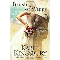 Pre-Owned Brush of Wings (Hardcover) 1451687532 9781451687538