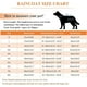 thumbnail image 5 of veste Impermable Pour Chien Impermable Pour Animaux De Compagnie (jaune-l) Avec Capuche Et Trou De Col Bord Transparent, Super Lger Et Respirant,, 5 of 5