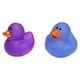 thumbnail image 5 of Patos de goma geniales (2 "") tamaño estándar. (Paquete de 12) lindos juguetes de piscina para bañera de pato. (Patos de goma que cambian de color), 5 of 5