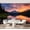 Color 3, variant on Wall Mural Peel and Stick Bull buffalo looking camera Self-Adhesive Wallpaper Removable Wall Decal Wall Sticker Home Decor for Living Room Bedroom 100"x144"