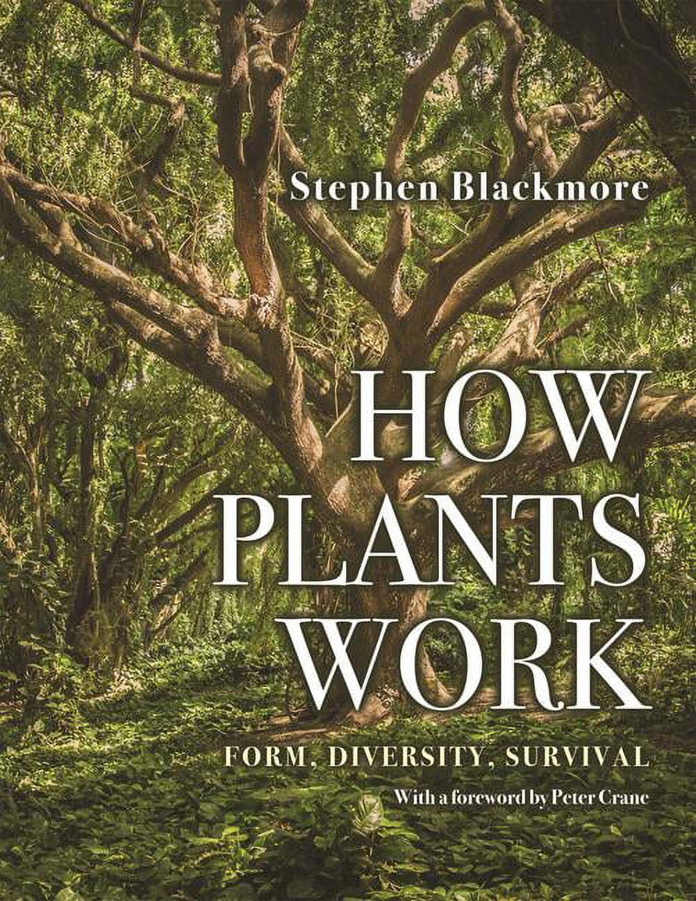 Mabberley's Plant-Book: A Portable Dictionary of Plants, Their