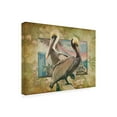 thumbnail image 2 of Trademark Fine Art 'Pelican Paradise IV' Canvas Art by Steve Hunziker, 2 of 3