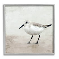 Stupell Industries Lone Sandpiper Bird Portrait Graphic Art Gray Framed Art Print Wall Art, Design by Kim Allen