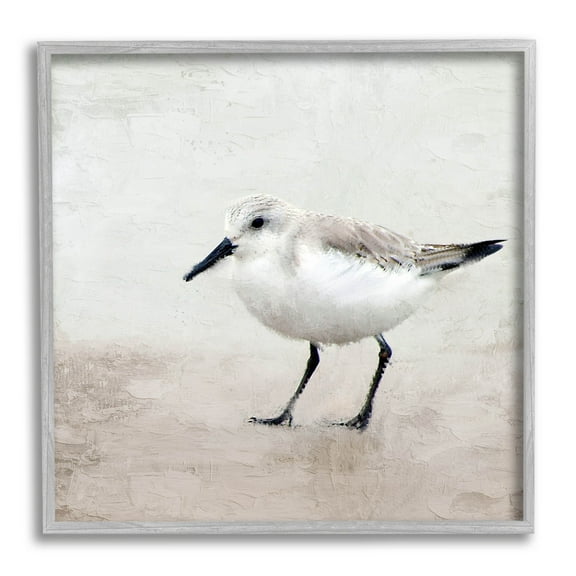 Stupell Industries Lone Sandpiper Bird Portrait Graphic Art Gray Framed Art Print Wall Art, Design by Kim Allen