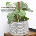thumbnail image 3 of Moss Pole 40cm Moss Pole For Cheese Plant, Stackable Moss Stick And Ties, Coir Plant Support Indoor, 3 of 5