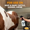 thumbnail image 6 of Country Vet FarmGard Permethrin Concentrate - 32 oz (Case of 6) 343961CVA - Gets Rid of Flies, Mosquitoes, Silverfish, Cockroaches, Fleas, Millipedes, Gnats,vTicks, Lice, Spiders, 6 of 9