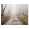 thumbnail image 2 of Straight Forest Road in Fall - Landscape Photo Canvas Art Print, 2 of 3