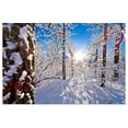 thumbnail image 1 of Great BIG Canvas | "Detail of snow covered cotttonwoods during winter in Arctic Valley, Alaska" Art Print - 36x24, 1 of 4