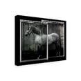 thumbnail image 2 of Sn Friedman 'Equine Double Take IV' Canvas Art, 2 of 3