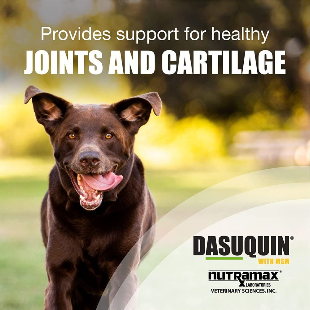 Dasuquin MSM Chewable Tablets for Large Dogs 150ct Walmart