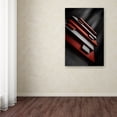 thumbnail image 3 of Trademark Fine Art 'Red & White' Canvas Art by Ajkabajka, 3 of 3