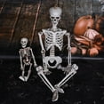 thumbnail image 6 of Matoen 15.7” Halloween Skeleton Pose-N-Stay Full Body Plastic Bone with Posable Joints for Halloween Party Decoration Photo Prop Indoor and Outdoor Use, 6 of 6