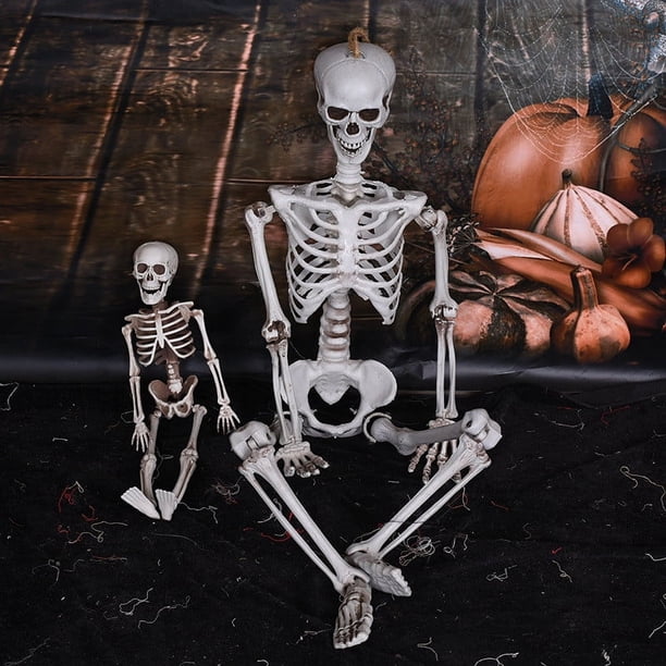 Xihbxyly Esqueleto de Halloween, Diseño de Calavera y Fantasma Espeluznante, Modelo Humano Realista, Decoración Interior y Exterior, Fiesta Espeluznante, Temática de Terror, Tamaño 40 Cm/90 Cm