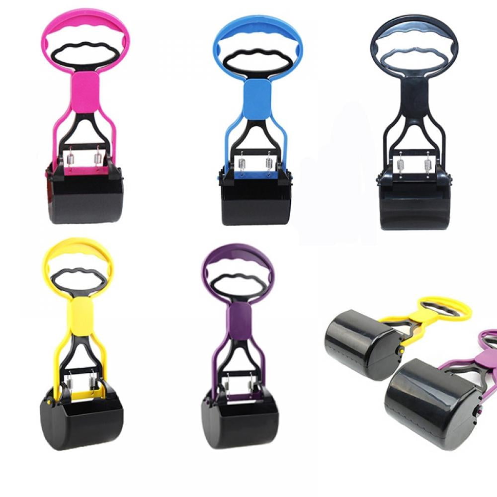 The Political Scene (Hardcover)