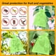 thumbnail image 4 of Bolsa de protección para frutas, bolsa de hilo verde, bolsa de malla, bolsa de organza con cordón, bolsa de regalo, bolsa de frutas, almacenamiento, 4 of 6
