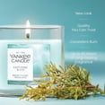 thumbnail image 4 of Yankee Candle Small Tumbler Scented Single Wick Jar Candle, Catching Rays, 4.3 oz (Pack of 2), 4 of 8