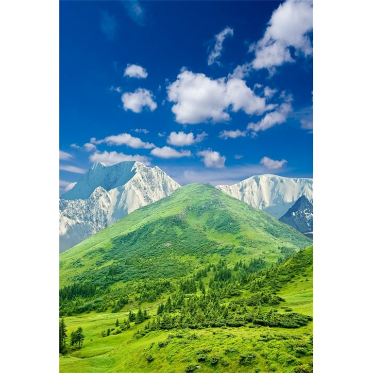 Large Mountain Background