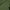 Army Green, variant on Skull T-Shirt USA Warrior Flag Distressed Military