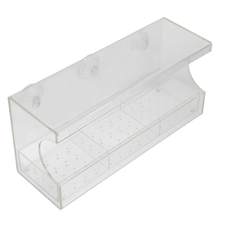 Sucker Feeder Bird Food Holder Feeders for Outdoors Container Backyard