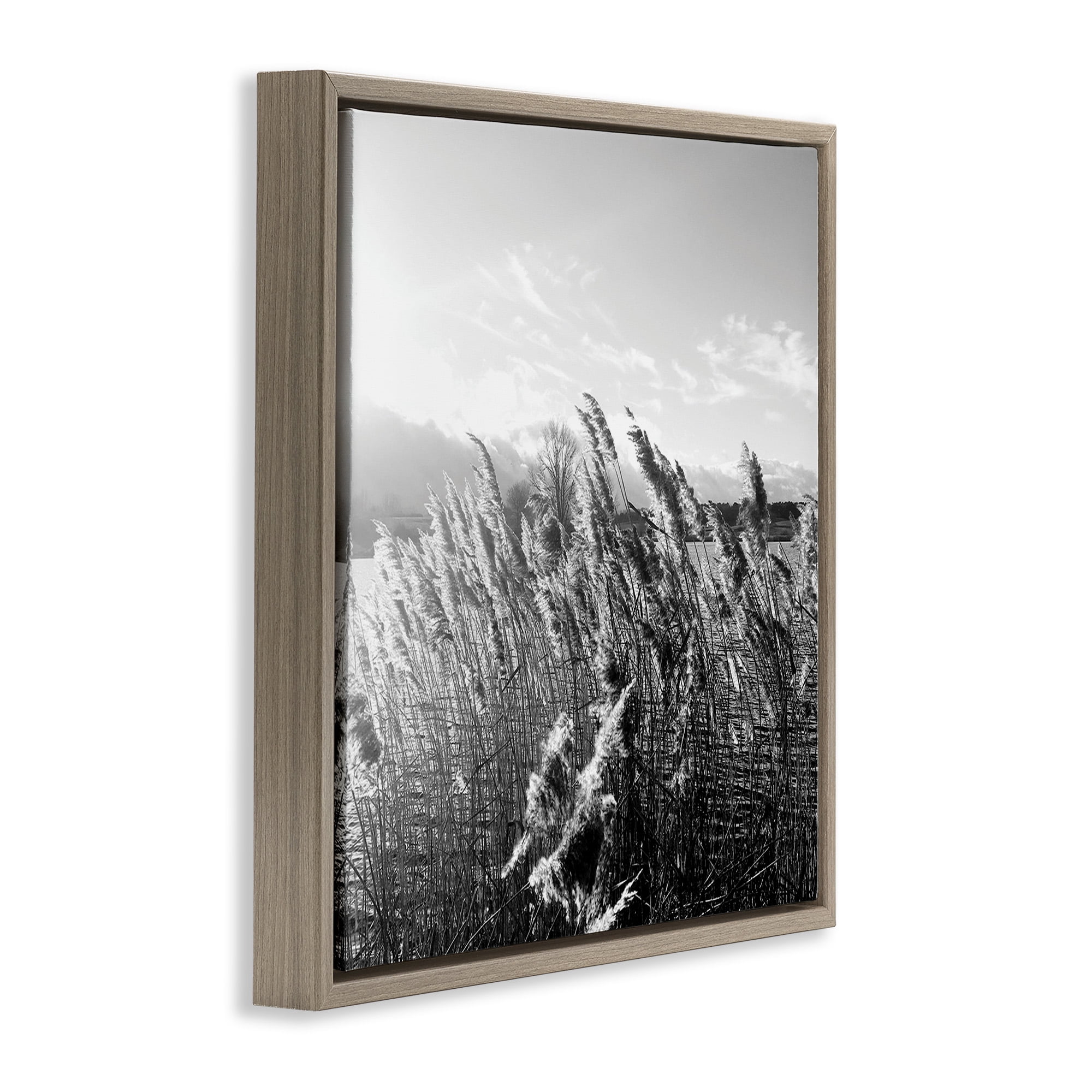 Stupell Industries Tall Grass Lake Water Landscape Landscape Photography Brown Floater Framed Canvas Art Print Wall Art, 18 x 18