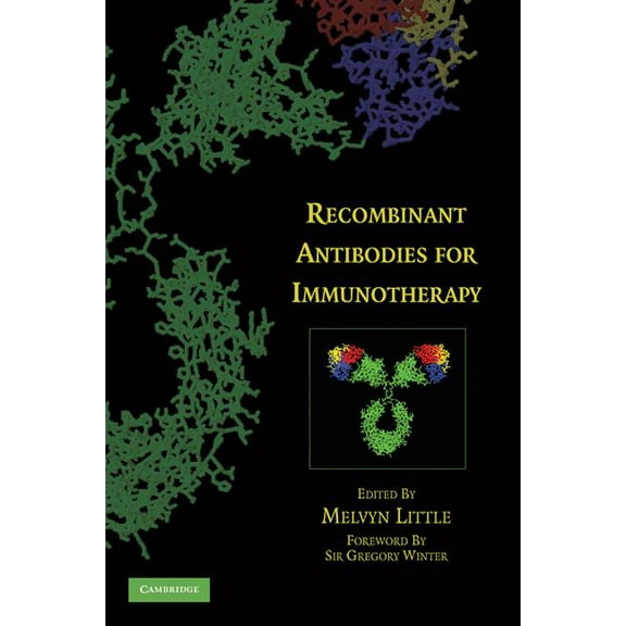 Recombinant Antibodies for Immunotherapy, (Hardcover)