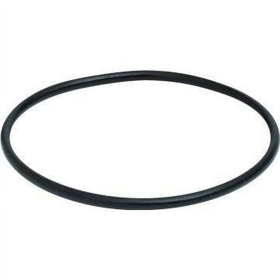 Pentair 350013 Challenger Pump Trap Lid O-Ring-114480