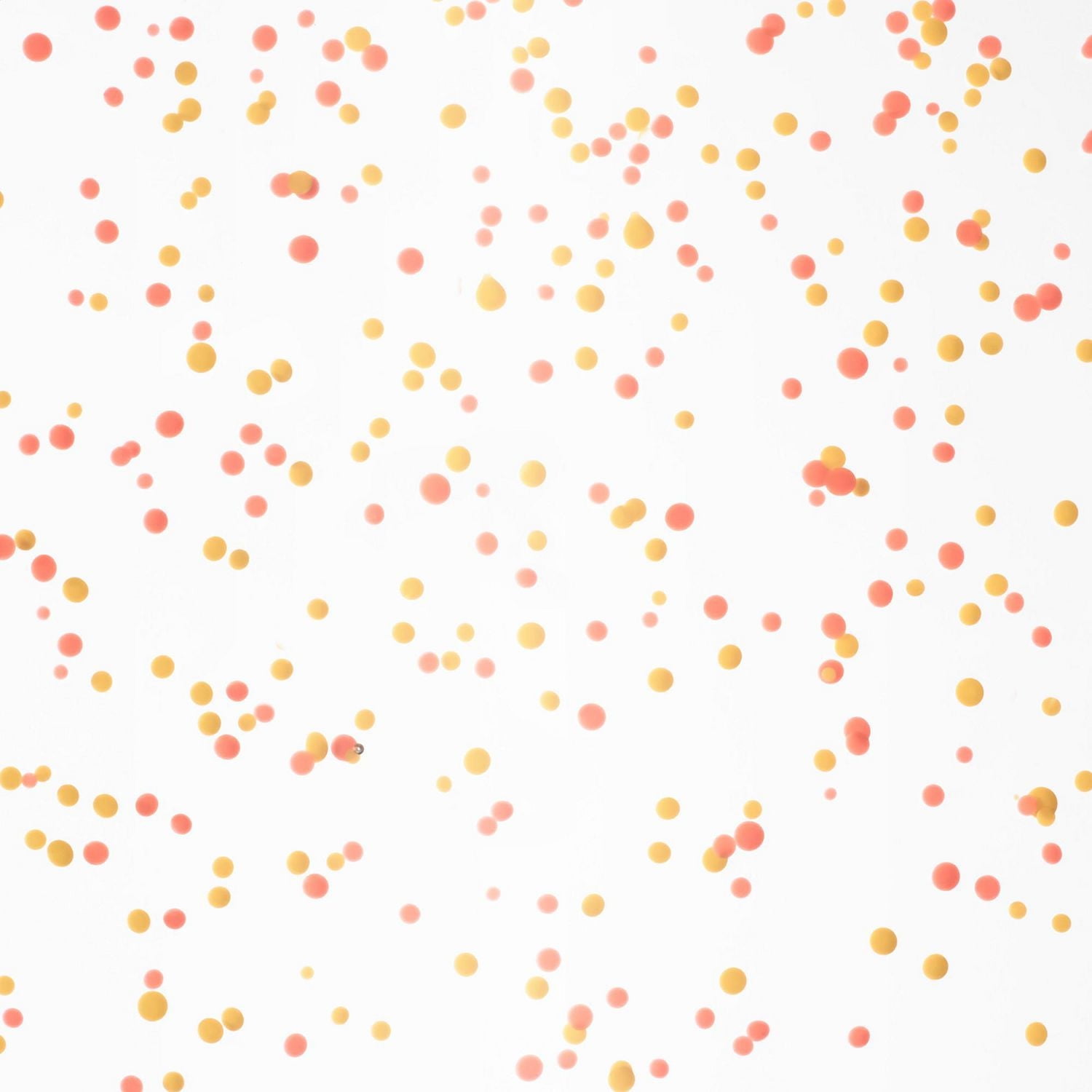 CONCENTRÉ VITAMINÉ ÉCLAIRCISSANT ET STIMULANT POUR LA PEAU