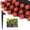 25 Pcs Drip Emitters with Lock Barb, variant on SIMDOO 50 pcs Drip Emitters for 1/4" Drip Irrigation Tubing, Adjustable 360 Degree Water Flow Drippers for Drip Irrigation on 5" Arrow Stake for Garden Watering System Flower Plant