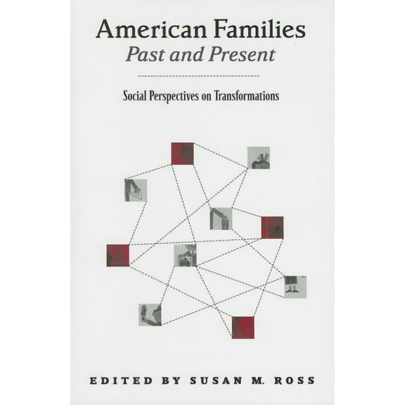 American Families Past and Present: Social Perspectives on Transformations, (Paperback)