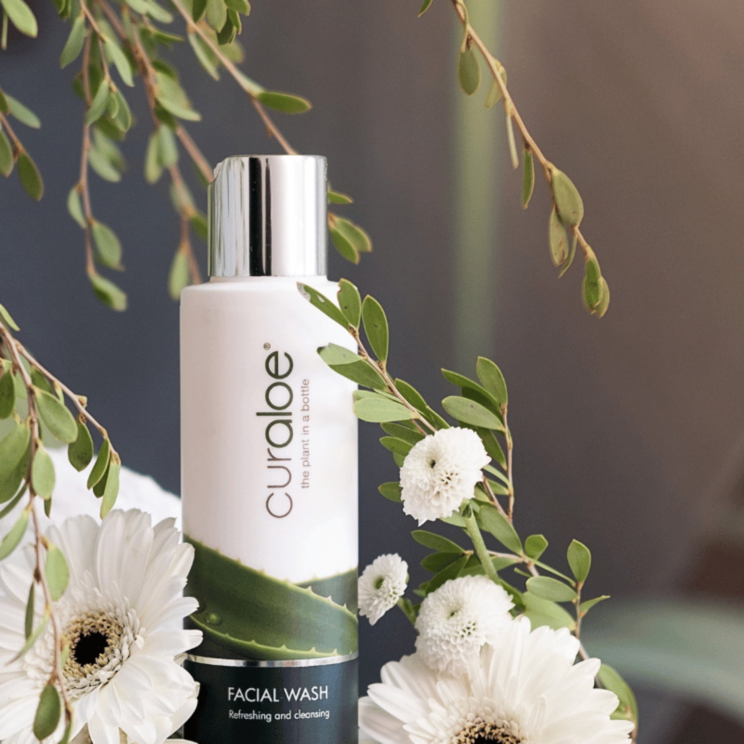 Facial Wash Pure Skin