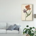 thumbnail image 3 of Trademark Fine Art 'Two Tulips II' Canvas Art by Melissa Wang, 3 of 4