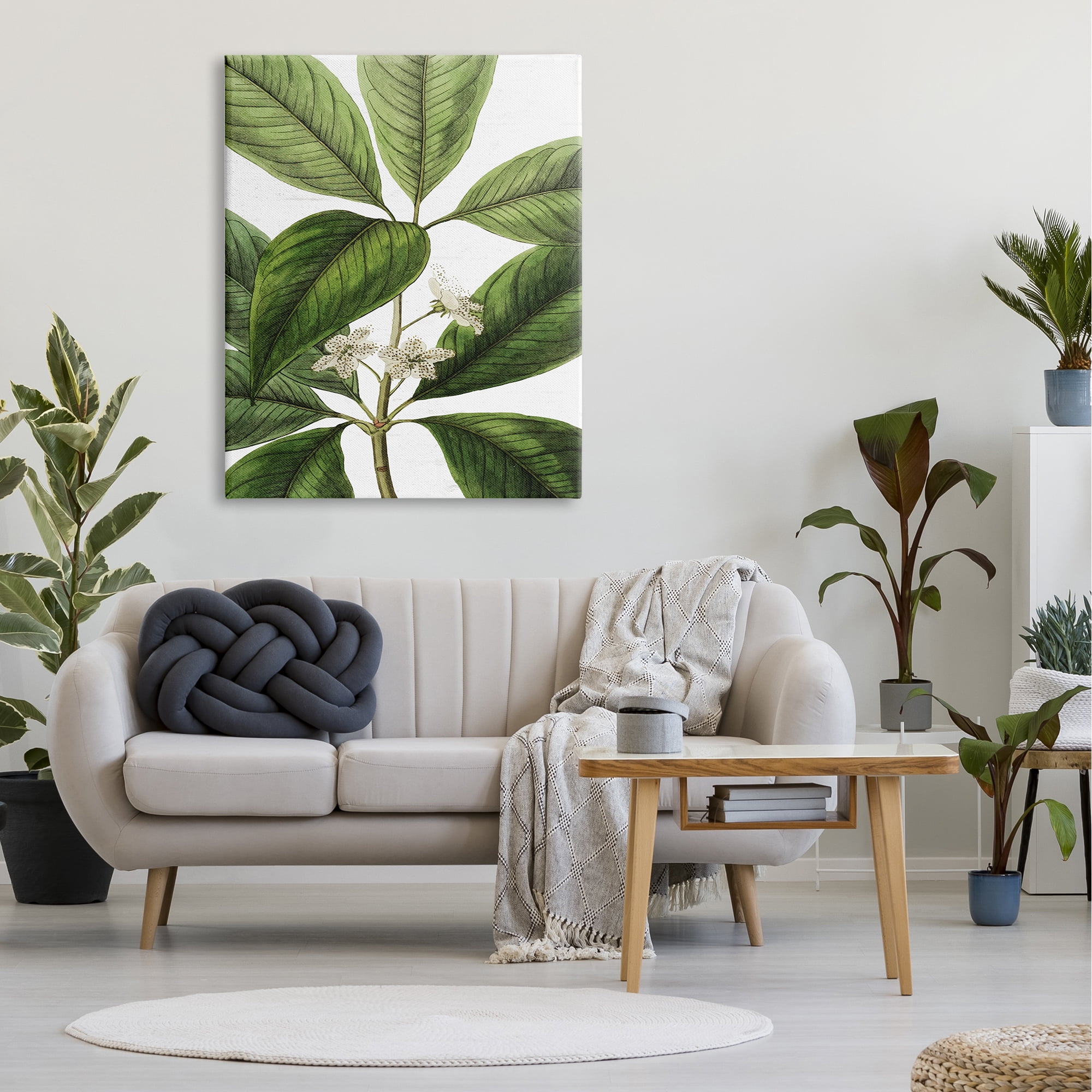 Stupell Industries Tristania Conferta Flower Large Leaf Vegetation Botanical Print,36 x 48, Design by Lettered and Lined