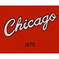 thumbnail image 4 of Chicago Basketball Bull's LARGE 22x14 Wall Hanging Logo Heritage Banner featuring logos from 1966, 1970, 1984 & 1985, 4 of 7