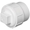 thumbnail image 1 of Charlotte Pipe &amp; Foundry PVC00105X1000HA PVC-Dwv Clean-Out Adapter  3 in., 1 of 1