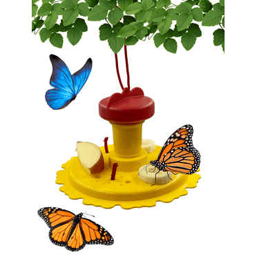 Songbird Essentials Butterfly Feeder Red and Yellow Nectar Feeder