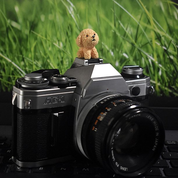 Hot Shoe Protective Case For SLR Camera For Canon 200d Fuji Xt30 Xt4 5 Hot Shoe Cap Dustproof Cute Cartoon Accessories