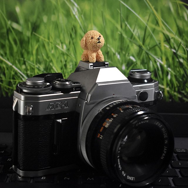 Hot Shoe Protective Case For SLR Camera For Canon 200d Fuji Xt30 Xt4 5 Hot Shoe Cap Dustproof Cute Cartoon Accessories