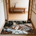 thumbnail image 4 of Mog Floor Mat, Indoor Outdoor Rug With Non-Slip Backing, for Porch Hallway and Pet Feeding Area, Multi-color, 4 of 6