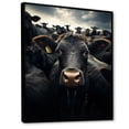 thumbnail image 2 of Designart "Cattle Silent II" Animals Floater Framed Wall Decor, 2 of 7