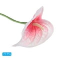 thumbnail image 3 of Uxcell 13" Artificial Anthurium Lily Flowers Floral Arrangements Bouquet Decor, Orange White 10 Pack, 3 of 5