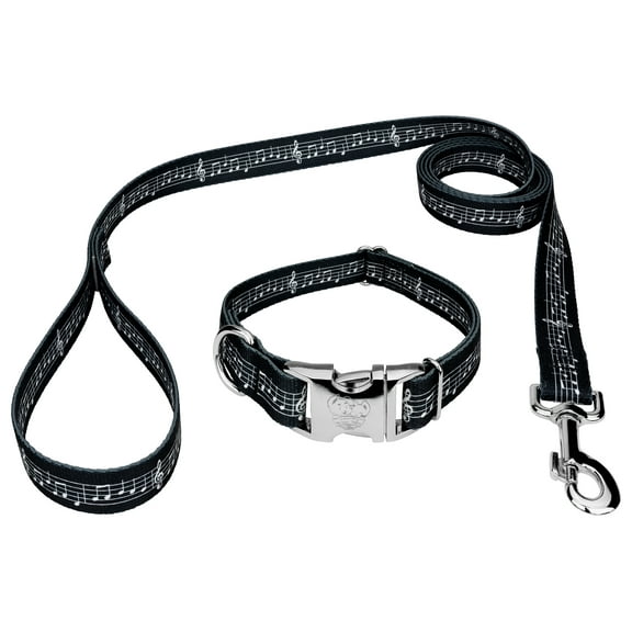 Country Brook Petz® Premium Sheet Music Dog Collar and Leash, Small