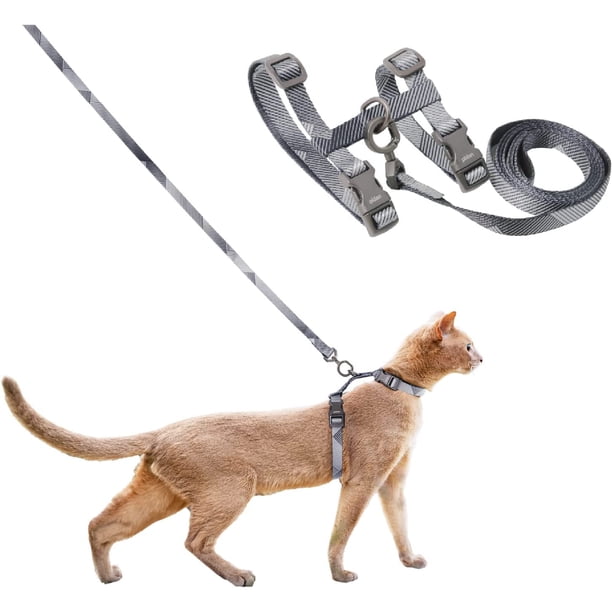 Set de arnés y correa para gato pidan ajustable a prueba de escapes, gris