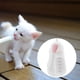 thumbnail image 4 of Botella de leche de 50ml, comedero para animales recién nacidos, biberón práctico para mascotas, cachorro de hámster rosado Yuyangstore Botella de lactancia, 4 of 7