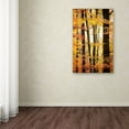 thumbnail image 4 of Trademark Fine Art "Between Us" Canvas Art by Philippe Sainte-Laudy, 4 of 4