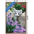 thumbnail image 3 of Keith Kimberlin - Kitten - Stones and Flowers Wall Poster, 22.375" x 34", Framed, 3 of 3