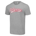 thumbnail image 2 of Men's Starter Heather Gray Calgary Flames Tailsweep T-Shirt, 2 of 3