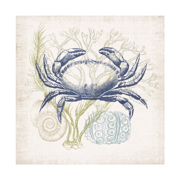 Victoria Barnes 'Antique Coastal Ephemera I' Canvas Art