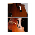 thumbnail image 4 of Cello Humidifier Panel Sound Hole Humidifier Tube Maintenance for Violins Cello Musical Instruments Parts, 4 of 7