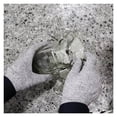 thumbnail image 3 of Guantes resistentes a cortes, protección de nivel 5, de alto rendimiento, de grado alimenticio, de seguridad, para niños. Se aplican a: carnicero, corte de carne, descascarado de ostras, mandolina de, 3 of 6